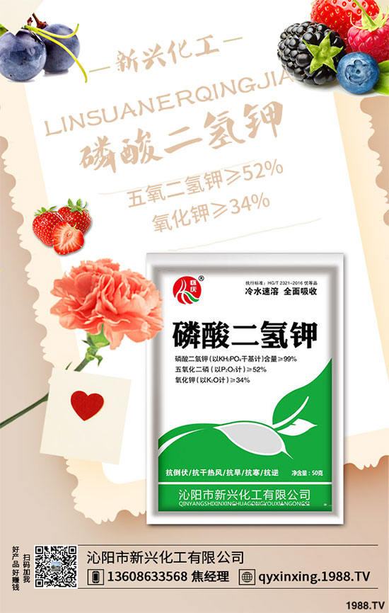 ���[�B��Σ����������ԓ��ν�Q�����[�B���ϵK���߮a(ch��n)�������g(sh��)��