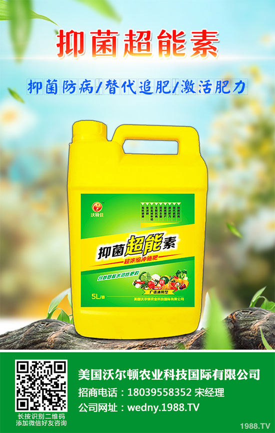 小白菜遇到白斑病該怎么辦?白菜白斑病防治措施