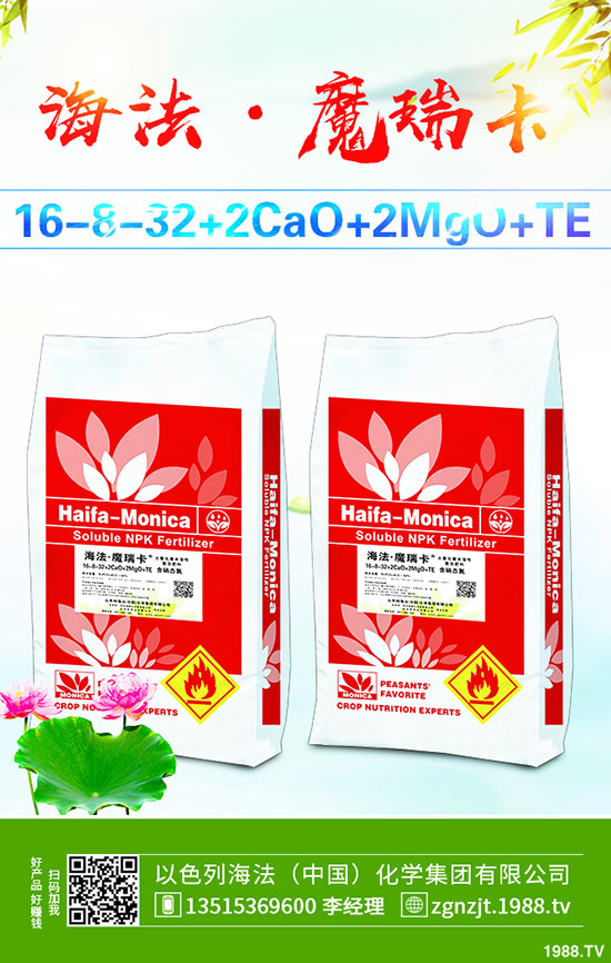 2019年10月21日今日國內(nèi)二銨市場最新主流出廠報價一覽