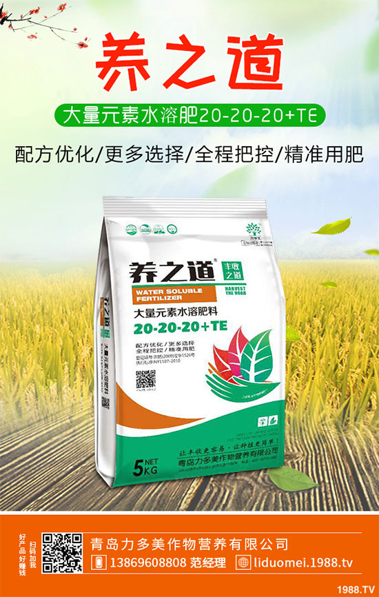 �ײ˰��P��Σ���@ô��������ԓ��η������ײ˰��P�����δ�ʩ