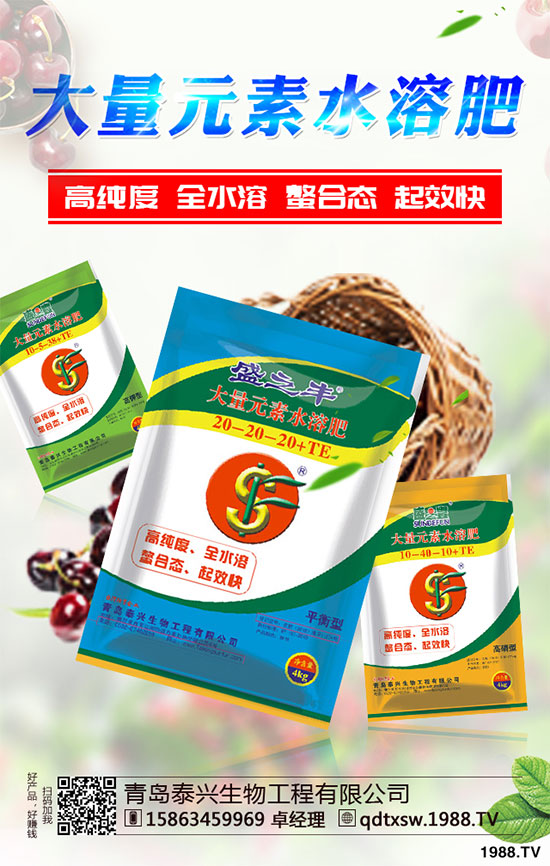 白菜根腐病有哪些危害癥狀？該如何防治？白菜根腫病的識(shí)別與防治！