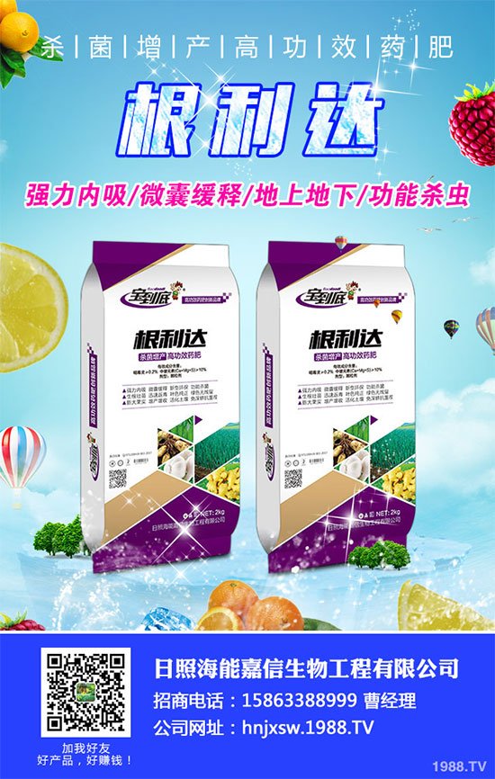 白菜根腐病有哪些危害癥狀？該如何防治？白菜根腫病的識(shí)別與防治！