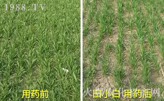 ��(ji��)��(ji��)����η�������ʲôˎ����ô��ˎЧ������