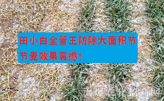 ��(ji��)��(ji��)����η�������ʲôˎ����ô��ˎЧ������