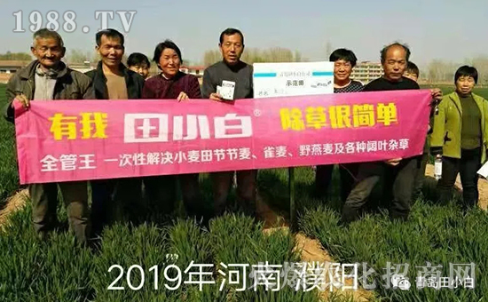 39��(ji��)��(ji��)����η�������ʲôˎ����ô��ˎЧ������