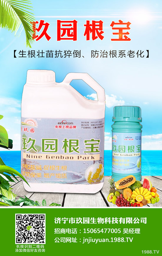 �������x��η����������x��Σ�����l(f��)��Ҏ(gu��)����