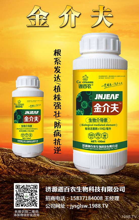 ���������o��������ô�k�������o���������\���c���Σ�