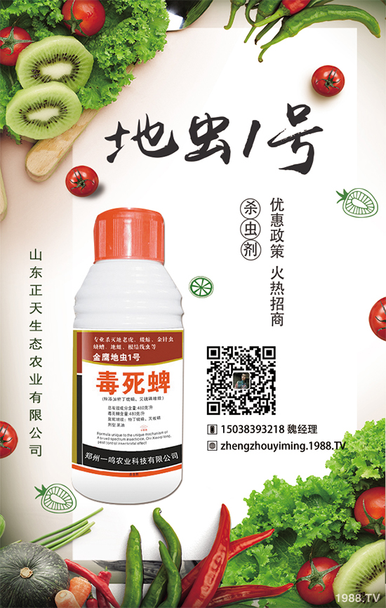 �����}����ηNֲ�������}����Ҫע��ʲô��