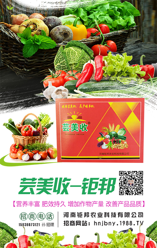 �����}�����L���h(hu��n)���l��Ҫ���������}����ôʩ�ʣ�