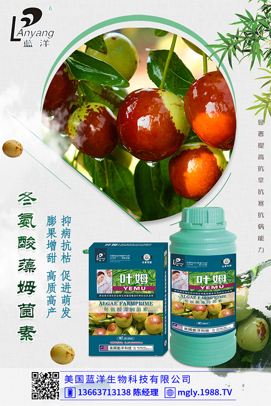 �ײ�ܛ��������������������ЩΣ�����ײ�ܛ�����İl(f��)���c����