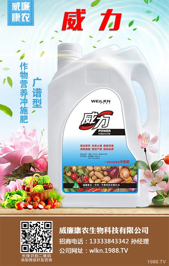 白菜干燒心有哪些危害？是如何引起的？白菜干燒心的防治措施