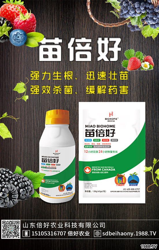 ����ʲô�r(sh��)��Nֲ������ʲô�r(sh��)�������