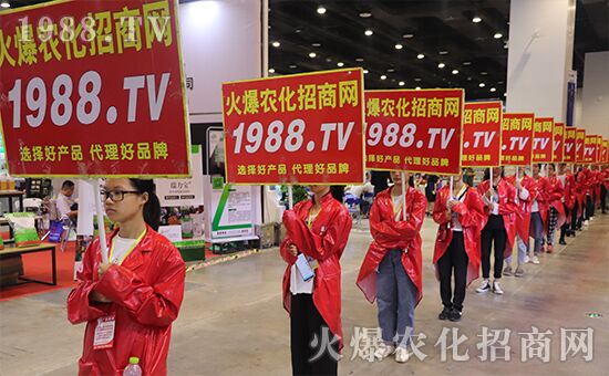 ǧ�̅R������Ʒ�Ƽ�|2019�����r(n��ng)����ʢ���_Ļ��