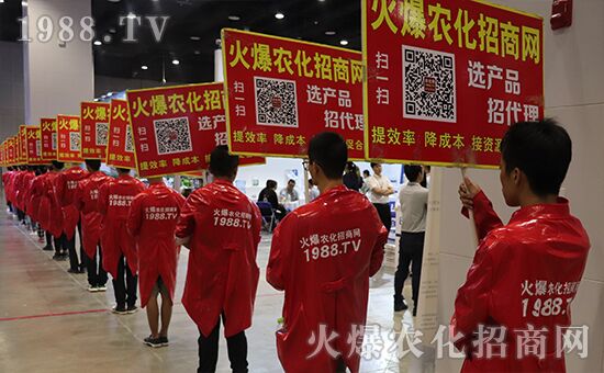 ǧ�̅R������Ʒ�Ƽ�|2019�����r(n��ng)����ʢ���_Ļ��