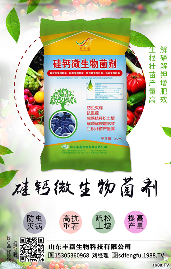 辣椒落葉是什么原因？辣椒落葉如何防治？