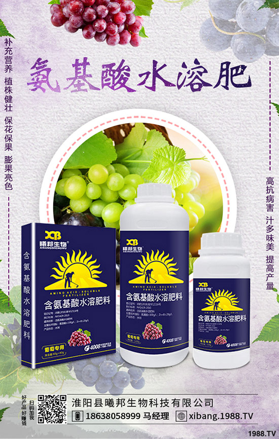 С���t����ηNֲ��С���t���ĸ߮a(ch��n)��������