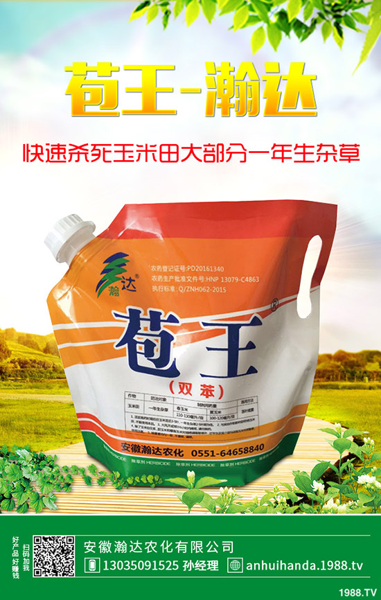 早春韭菜怎么施肥？韭菜施肥方法和注意事項！