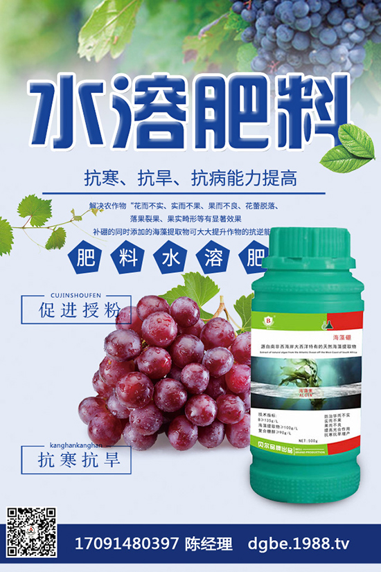 â����ô�N�ź���â���߮a(ch��n)�Nֲ������