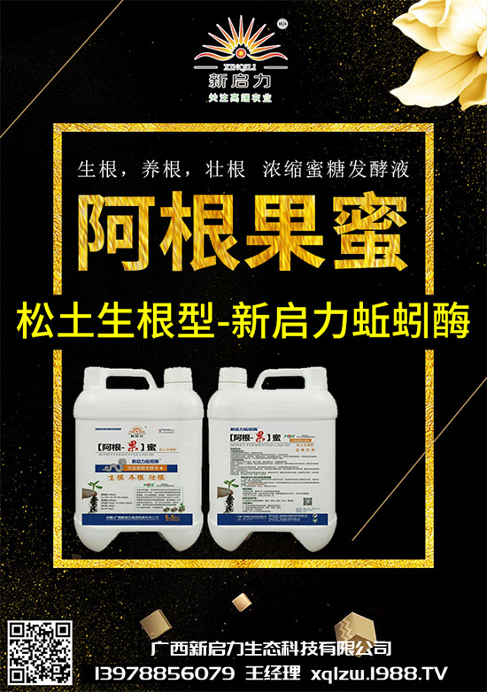 ���{��Ä������ЩΣ��������{�����İl(f��)���c���μ���