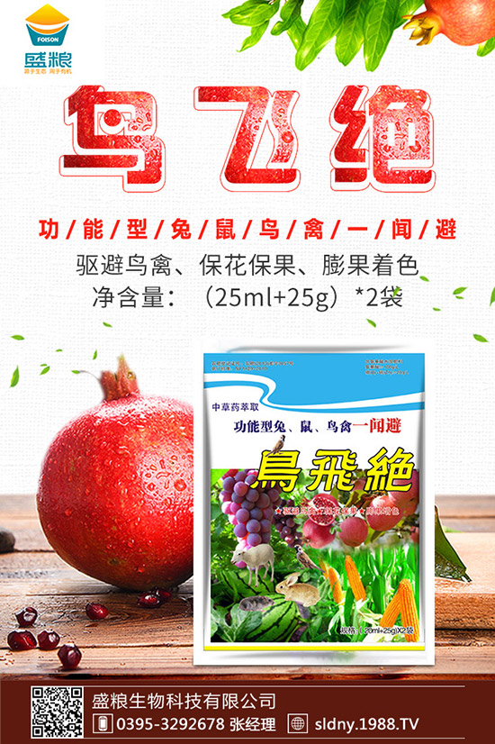 大棚西紅柿如何授粉？大棚西紅柿授粉方法有哪些？