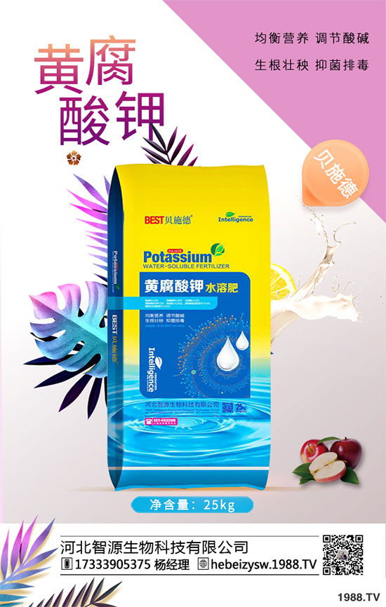 ����ը���ӷNֲ�����¹����༼�g(sh��)��