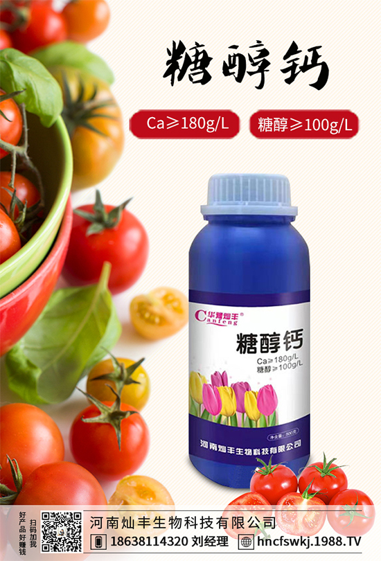 ���{(l��n)���ݲ���(l��i)�u������ԓ��η��������{(l��n)���ݲ����δ�ʩ