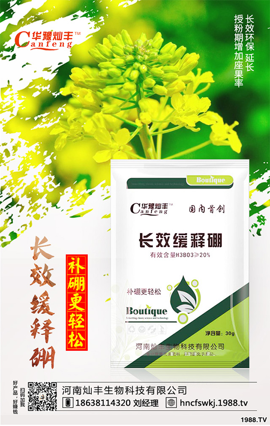 ���{(l��n)���ݲ���(l��i)�u������ԓ��η��������{(l��n)���ݲ����δ�ʩ