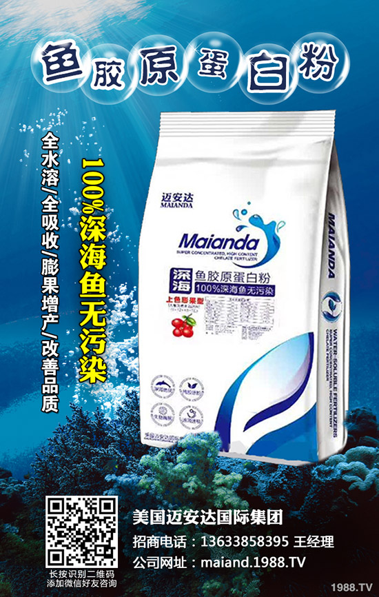 2019年11月1日近期鉀肥行情穩(wěn)定!今日最新出廠參考報(bào)價(jià)!