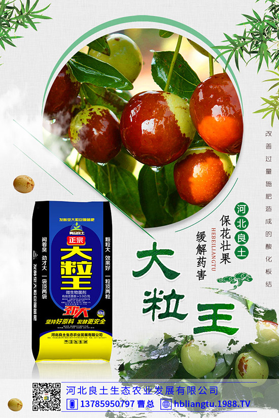 ����仨���ԭ������Щ�������������������