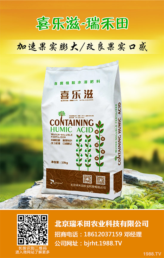 2019��11��12�ս��ո������؏S�҈�r�^�m(x��)�µ������غ����A�y��