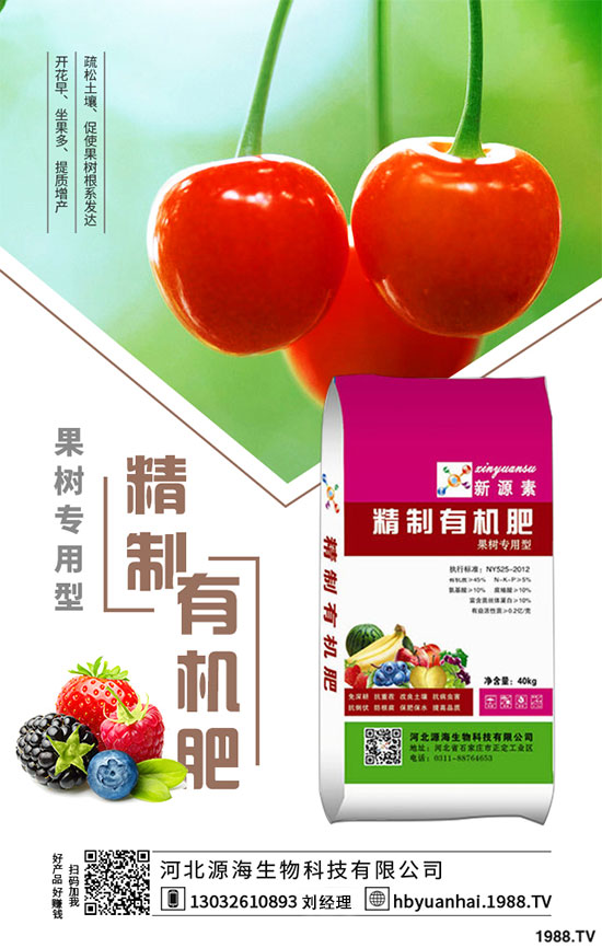 苦瓜種植施肥的兩大誤區(qū)，種植苦瓜需要注意哪些條件？