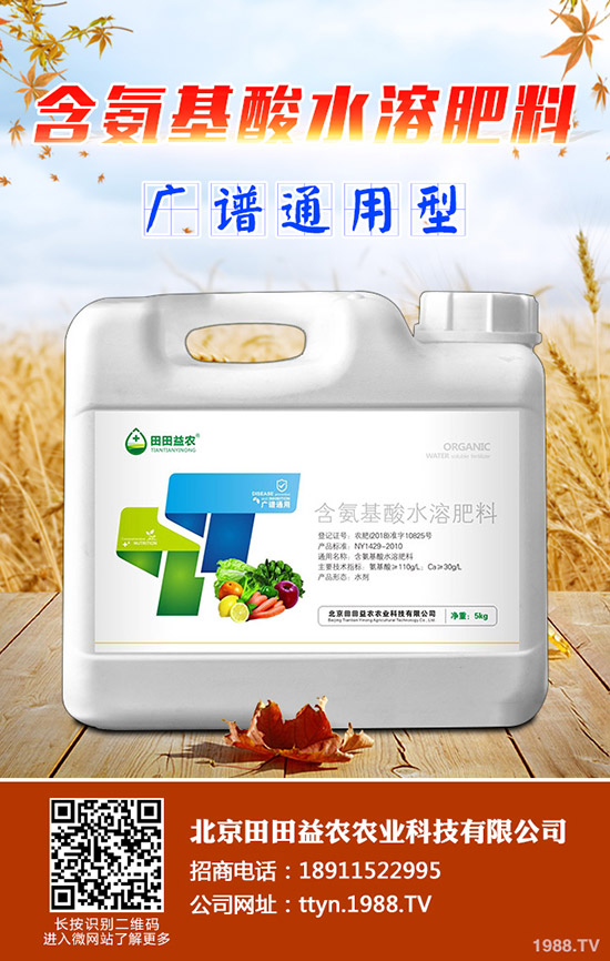 ⛷ʃr���^�m(x��)���{(di��o)��⛷ʃr������һ�[2019-11-14