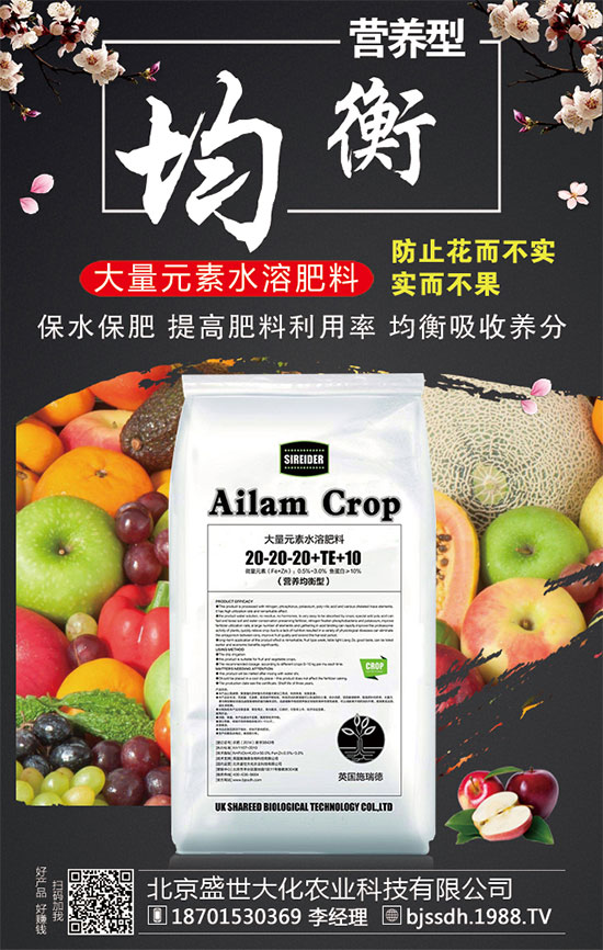 ���ӵĠI�B(y��ng)������t���ֵĹ�Ч�c���ã�