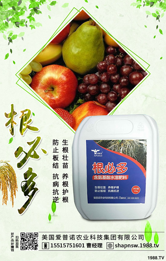 ������ô�������ܸ߮a(ch��n)�����Ӹ߮a(ch��n)�ߴ������ʩ