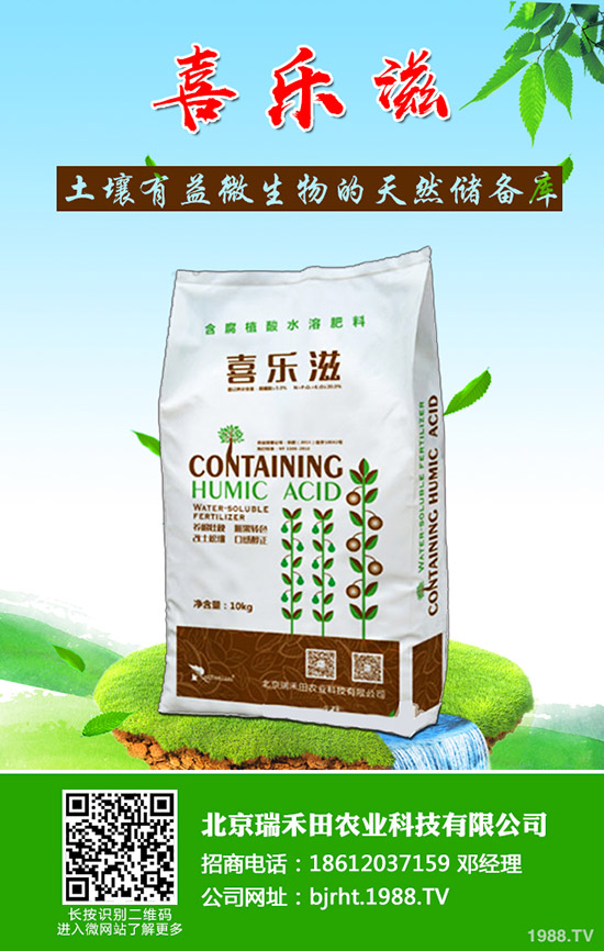 �����~Ƭ�l(f��)�S����ô�����������~Ƭ�l(f��)�S��ô������