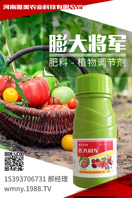 ��������ʲô��̎�����x���ֵ�С������