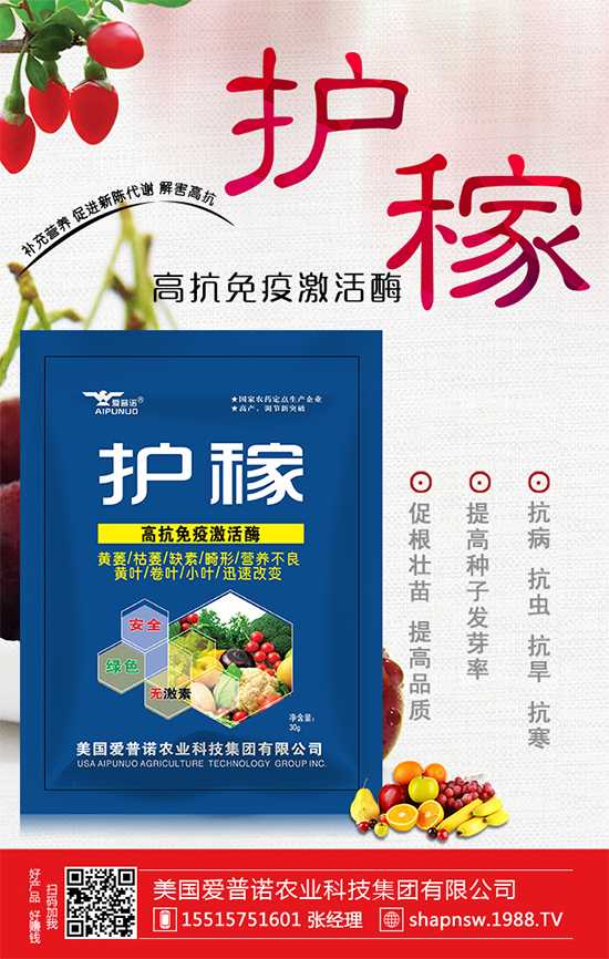 秋冬菠菜種植品種怎么選？越冬菠菜凍藏方法要點(diǎn)！