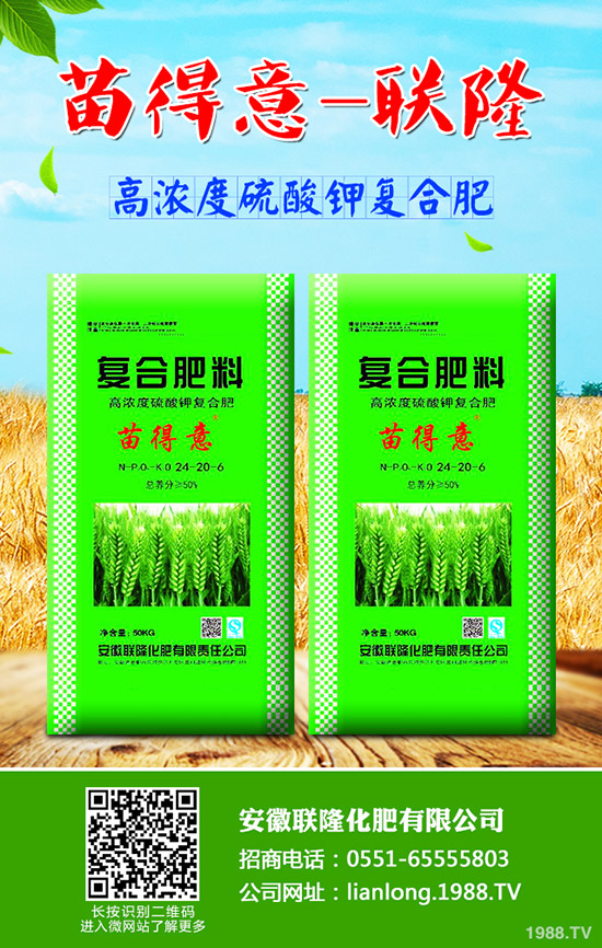 ��ţ��?q��)����w��ʲô��̎��ţ��ĠI�B(y��ng)�r(ji��)ֵ����Ч!