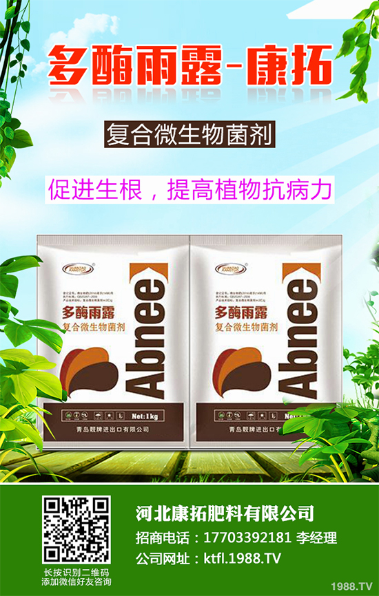 11�·��r(n��ng)�°�������Щ��2019�ﶬ�߲˷Nֲָ��