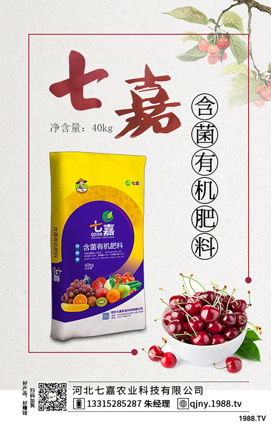 11�·��r(n��ng)�°�������Щ��2019�ﶬ�߲˷Nֲָ��