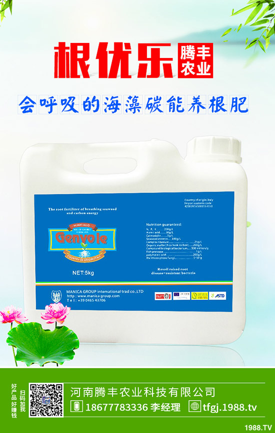 石榴褐斑病導致發(fā)黃落葉怎么辦？石榴褐斑病的防治要點！