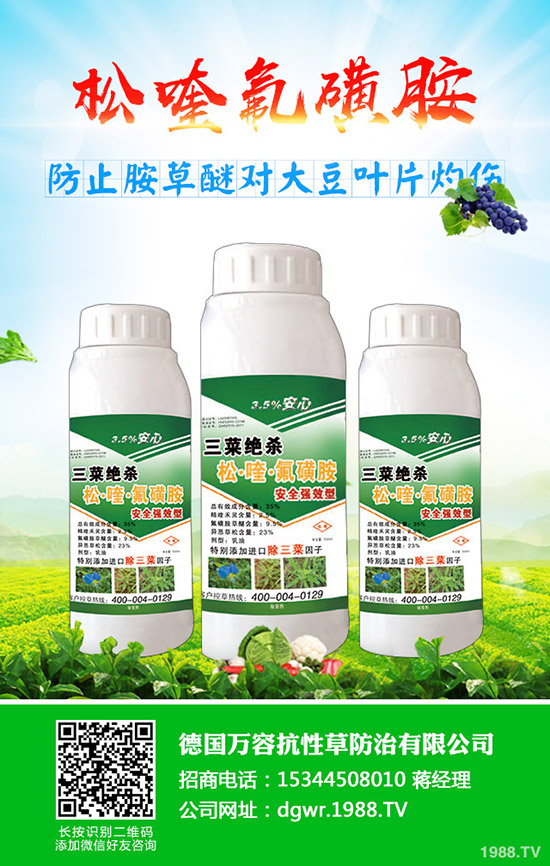 �S��ʲô�r(sh��)�g�Nֲ���S���ķNֲ��������Щ��