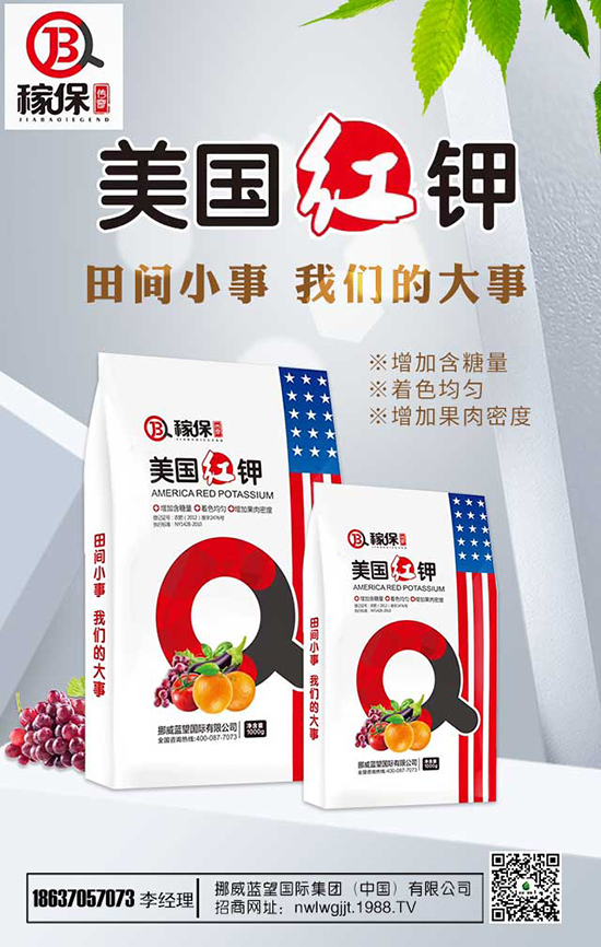 瑞香花養(yǎng)殖方法有哪些？瑞香花養(yǎng)殖注意事項！