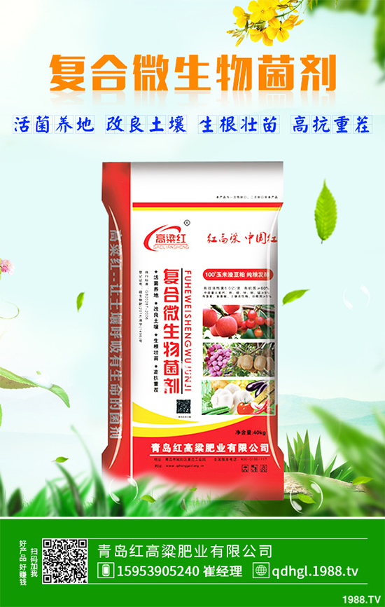 哪些地方適合種植白皮松?白皮松栽培技術(shù)管理