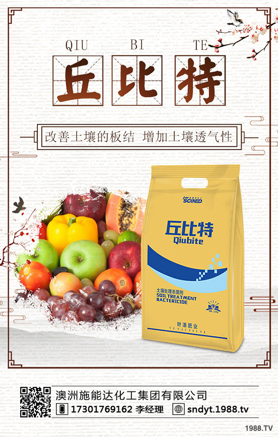 2019.11.29����⛷ʃr�������߄ݾC���A(y��)�y