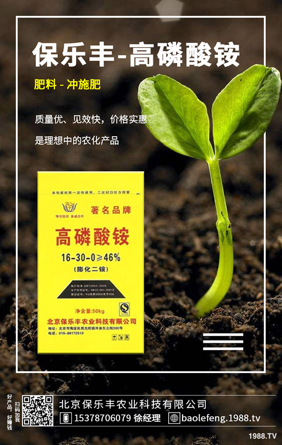 ��(gu��)��(n��i)���@�r(ji��)���(hu��)�ϝq����2019.11.29���ո������@���S��(b��o)�r(ji��)��