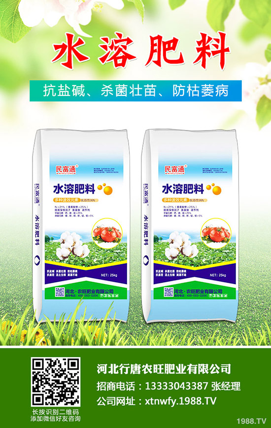 2019.11.29��(f��)�Ϸ����鲻�ز��𣡽��ڏ�(f��)�Ϸʃr(ji��)���߄�(sh��)������