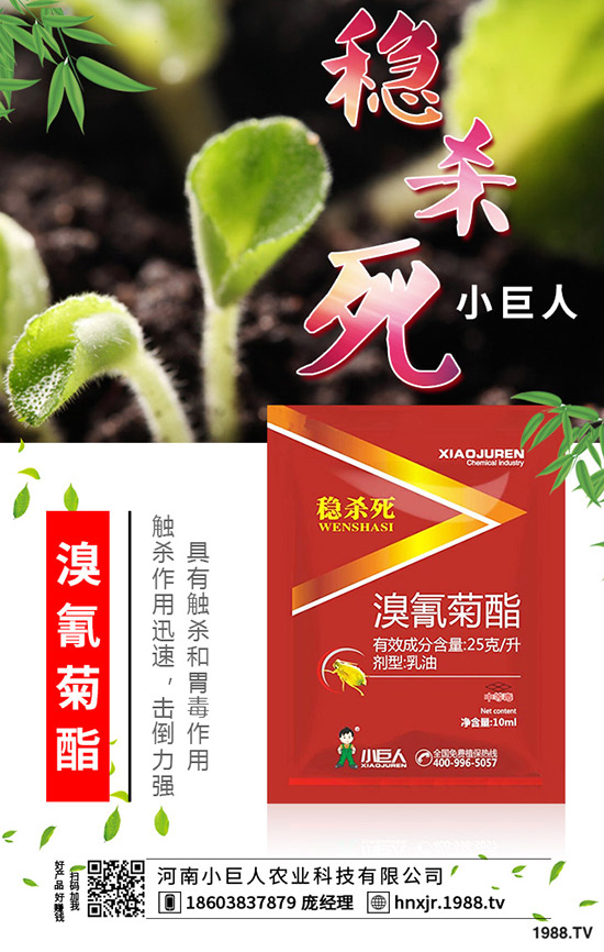 吃苦瓜對(duì)人體有什么好處？苦瓜的功效與作用有哪些？