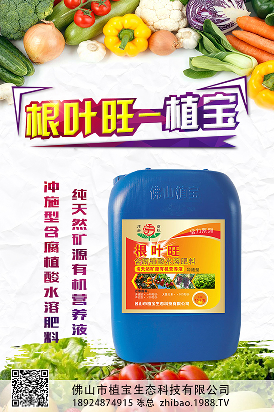 你知道草石蠶該怎么種嗎？草石蠶的種植技巧