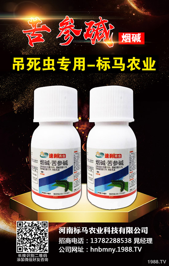 ��(gu��)��(n��i)���x���r(ji��)���Ј�(ch��ng)�����܈�(b��o)2019.11.30